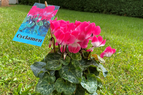 Kuitukuitu 215g 32x45