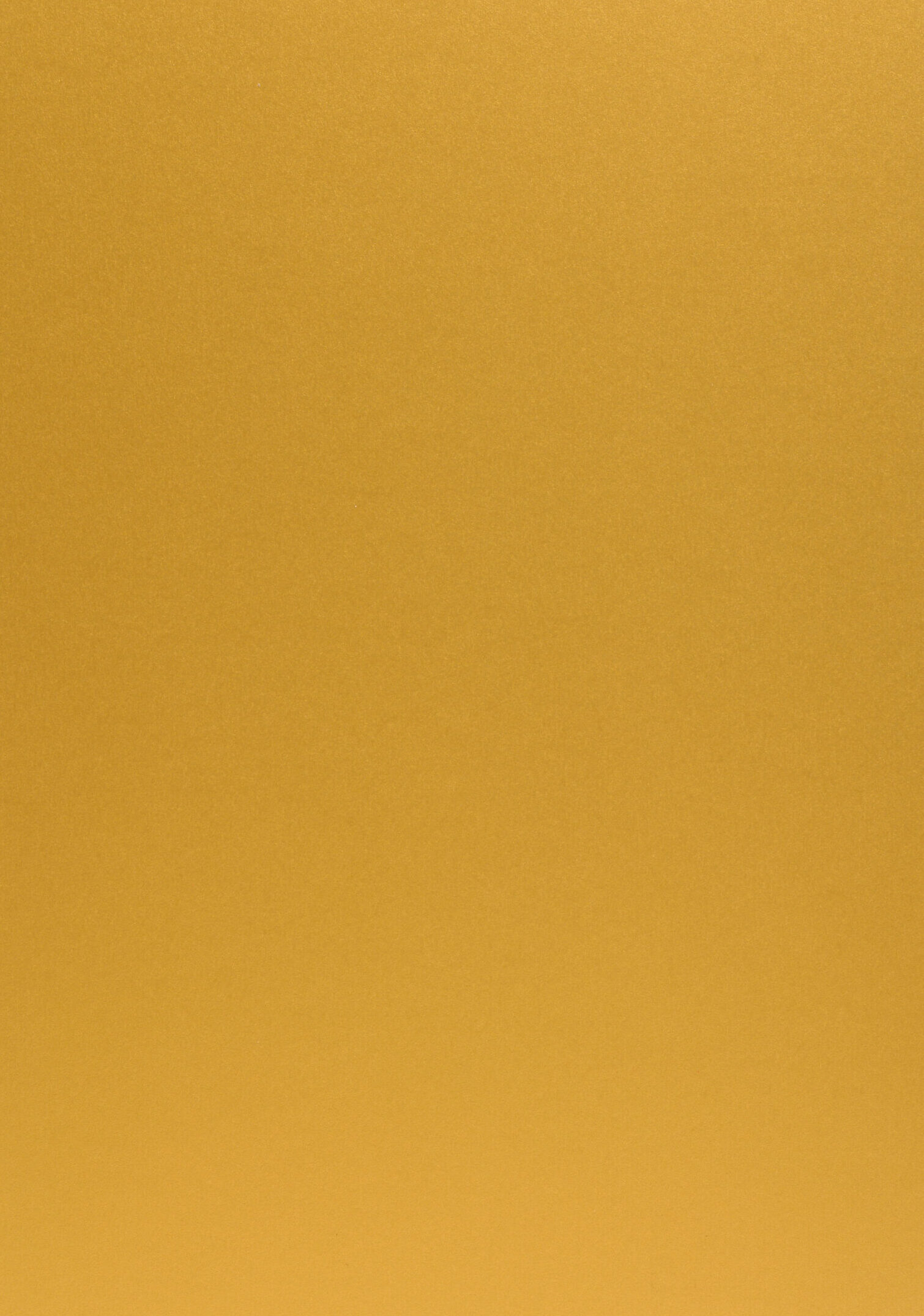 Sirio Pearl Aurum 300g 46x32