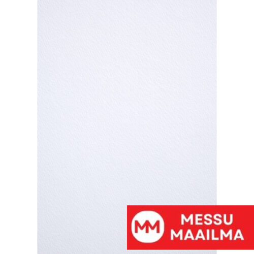 Tintoretto Gesso 300g 48x33