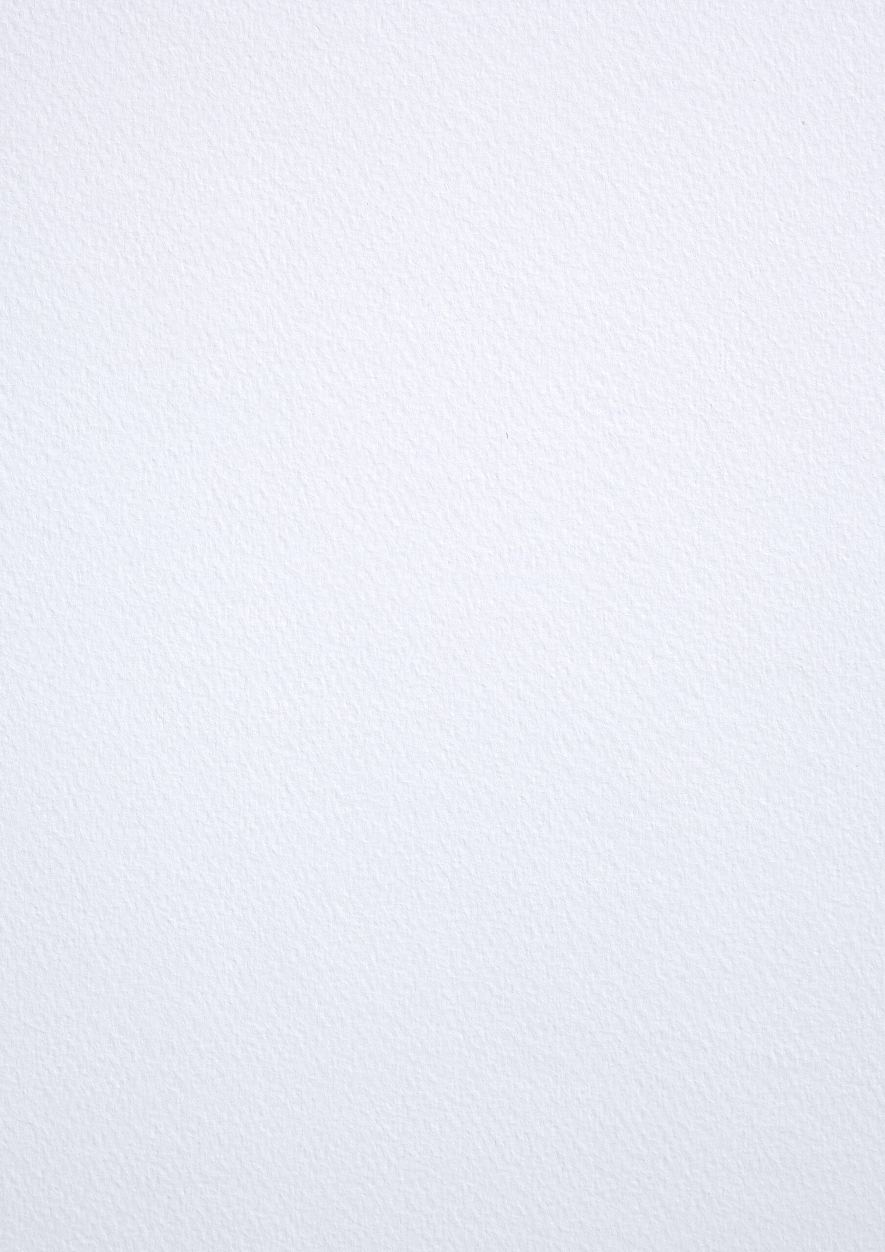 Tintoretto Gesso 300g 48x33