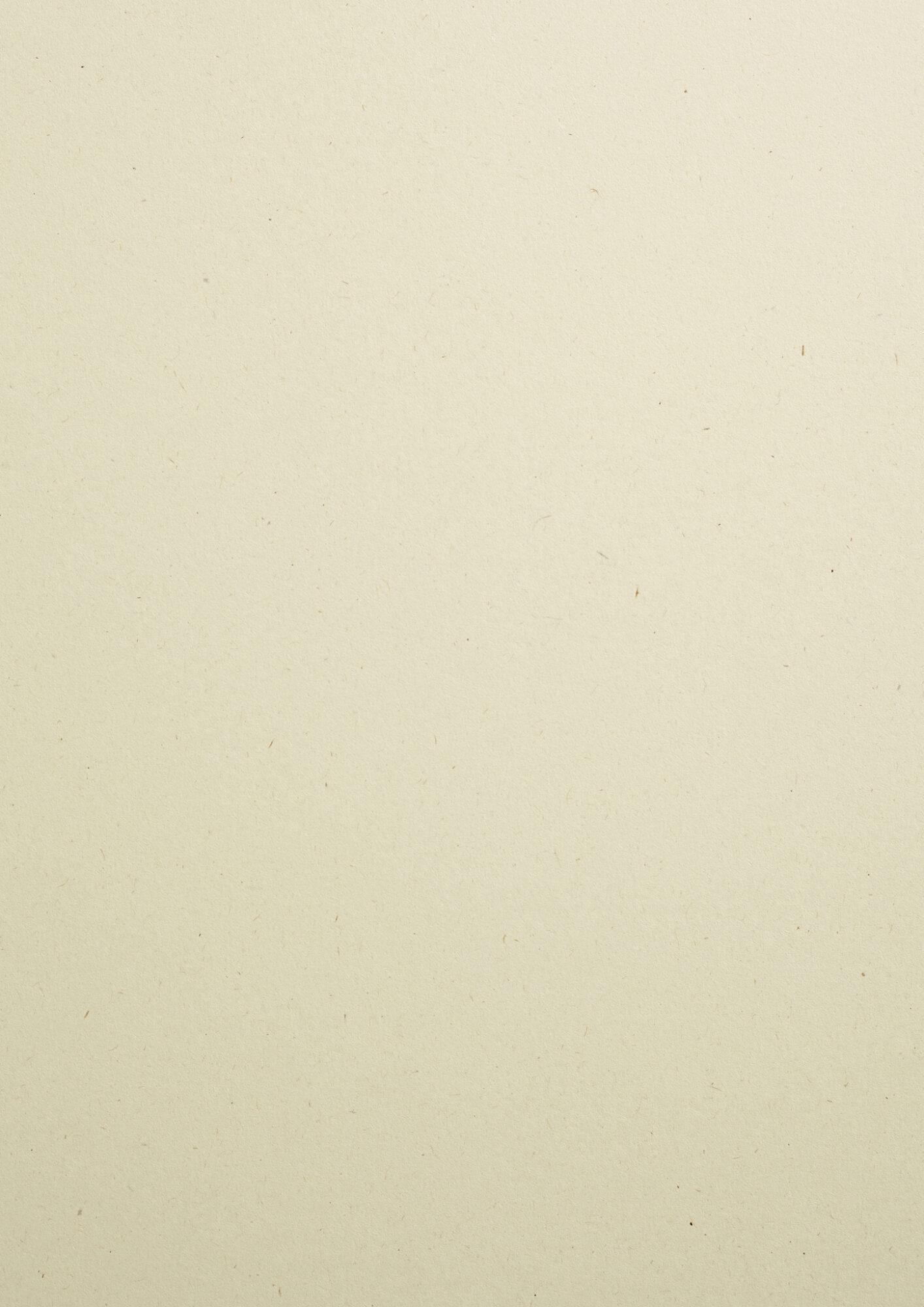 Woodstock-koivu 285 g 46 x 32